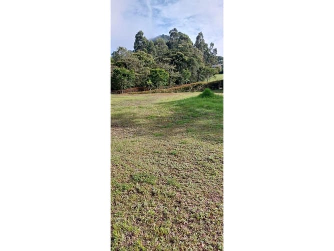 Lote en venta en Guamito, La Ceja, 5231 m² · foto 14 de 24