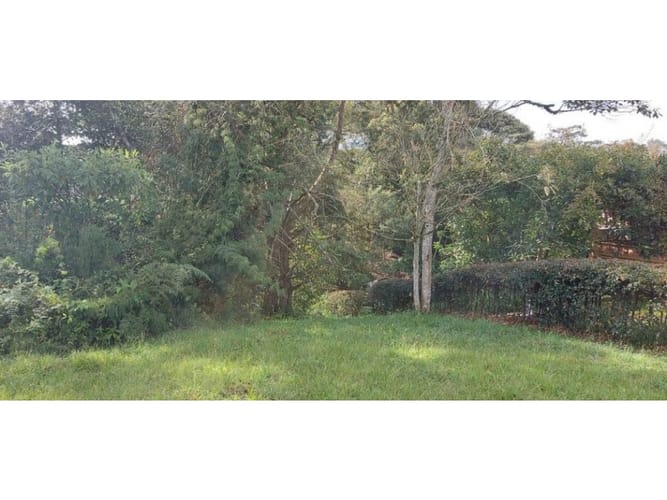 Lote en venta en Guamito, La Ceja, 5231 m² · foto 15 de 24