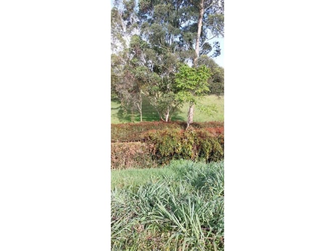 Lote en venta en Guamito, La Ceja, 5231 m² · foto 16 de 24