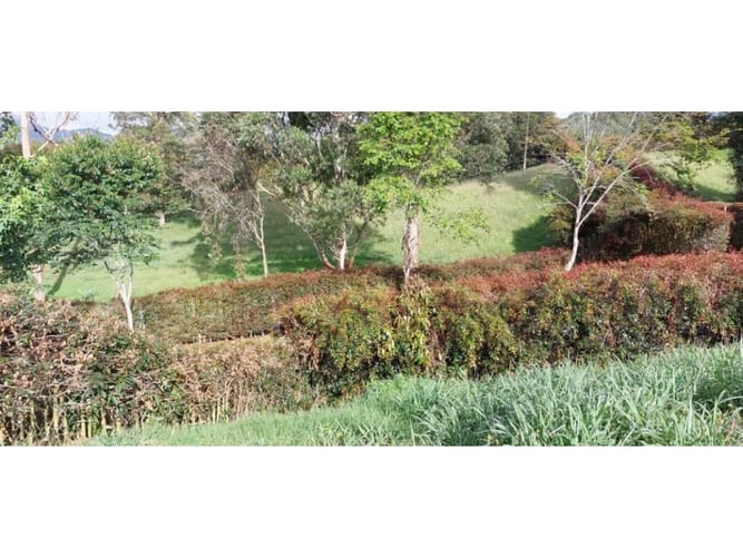 Lote en venta en Guamito, La Ceja, 5231 m² · foto 18 de 24