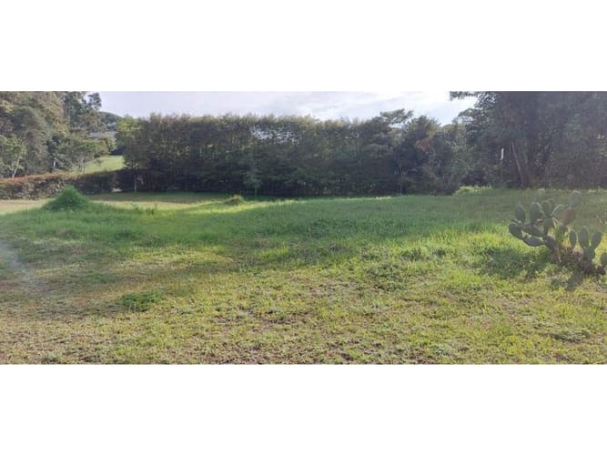 Lote en venta en Guamito, La Ceja, 5231 m² · foto 21 de 24