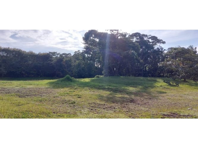 Lote en venta en Guamito, La Ceja, 5231 m² · foto 22 de 24