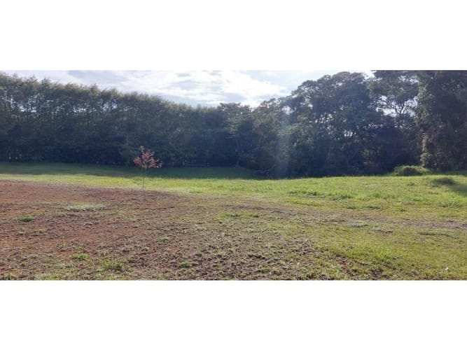 Lote en venta en Guamito, La Ceja, 5231 m² · foto 23 de 24