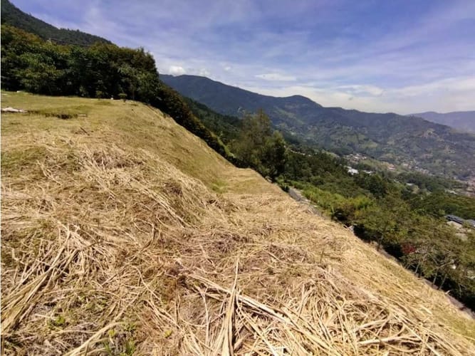 Lote en venta en Santa Catalina, Envigado, 6000 m² · foto 20 de 22
