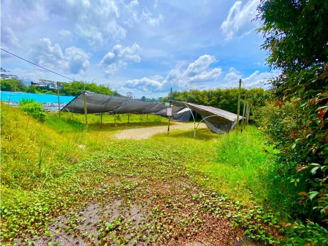Lote en arriendo en Sajonia, Rionegro, 6200 m² · foto 4 de 18