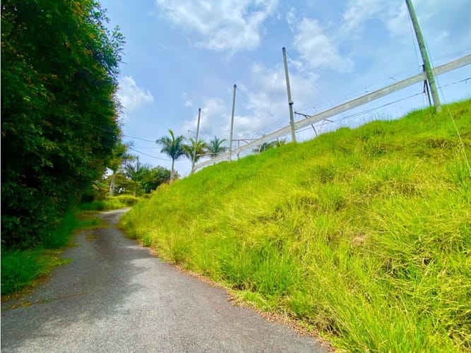 Lote en arriendo en Sajonia, Rionegro, 6200 m² · foto 5 de 18