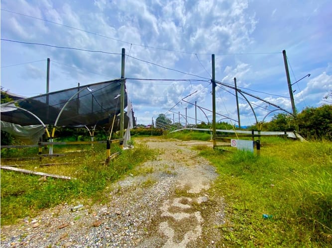 Lote en arriendo en Sajonia, Rionegro, 6200 m² · foto 9 de 18