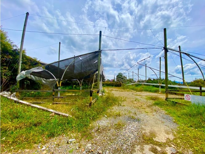 Lote en arriendo en Sajonia, Rionegro, 6200 m² · foto 11 de 18