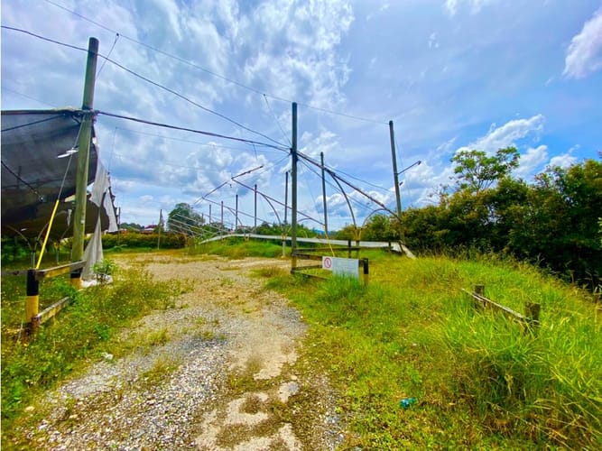 Lote en arriendo en Sajonia, Rionegro, 6200 m² · foto 12 de 18