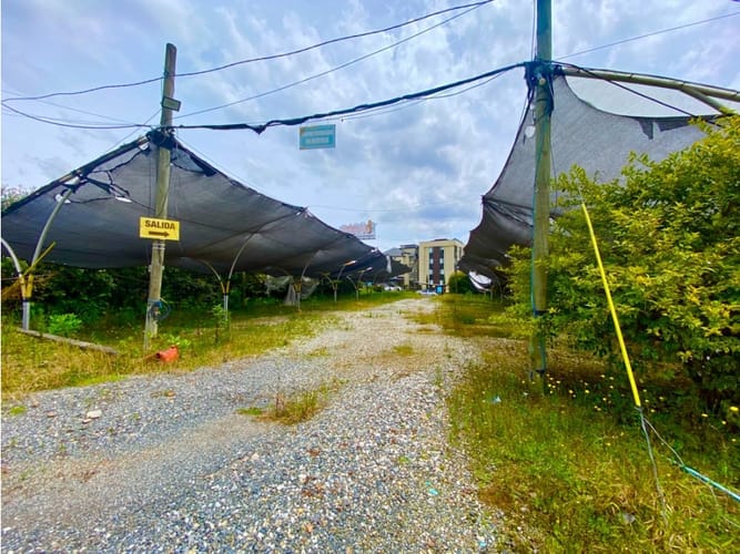 Lote en arriendo en Sajonia, Rionegro, 6200 m² · foto 13 de 18