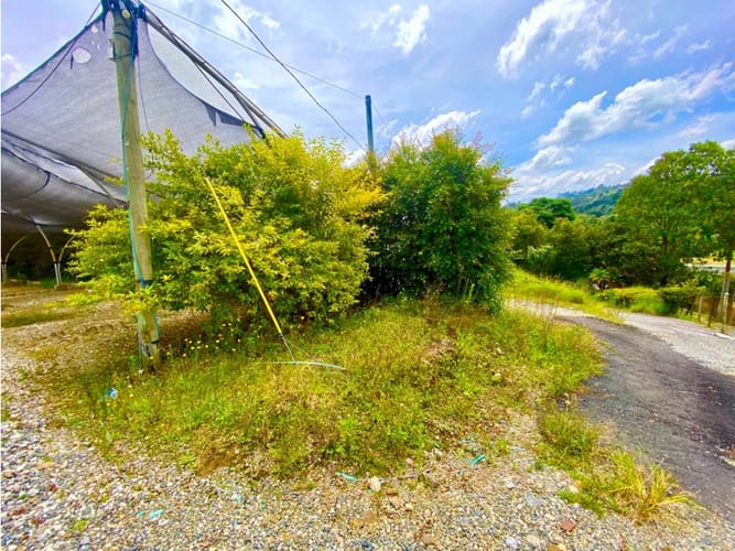 Lote en arriendo en Sajonia, Rionegro, 6200 m² · foto 16 de 18