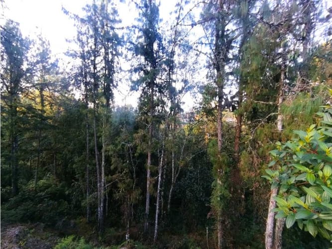 Lote en venta en Laureles, Envigado · foto 2 de 24