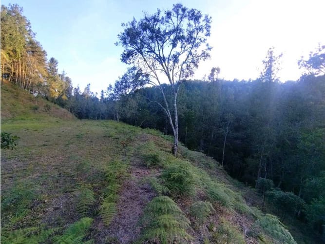 Lote en venta en Laureles, Envigado · foto 6 de 24