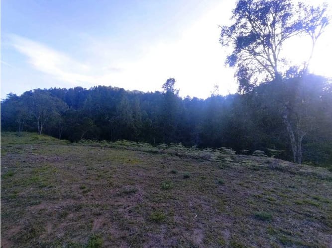Lote en venta en Laureles, Envigado · foto 9 de 24