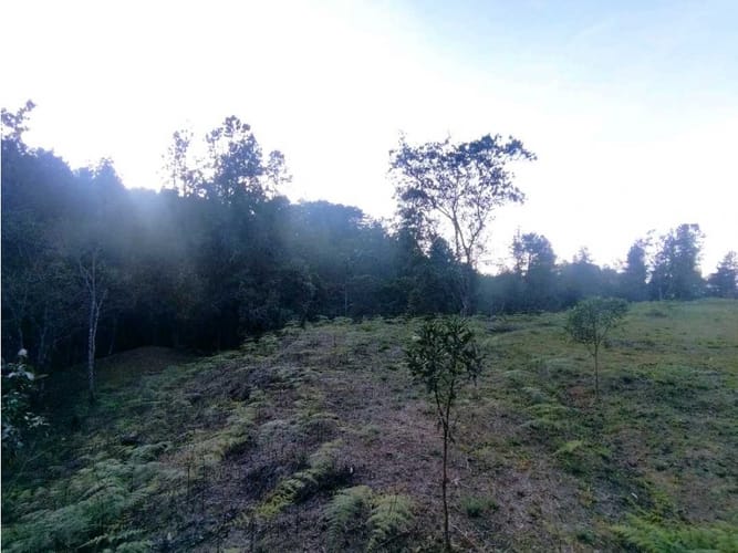 Lote en venta en Laureles, Envigado · foto 23 de 24
