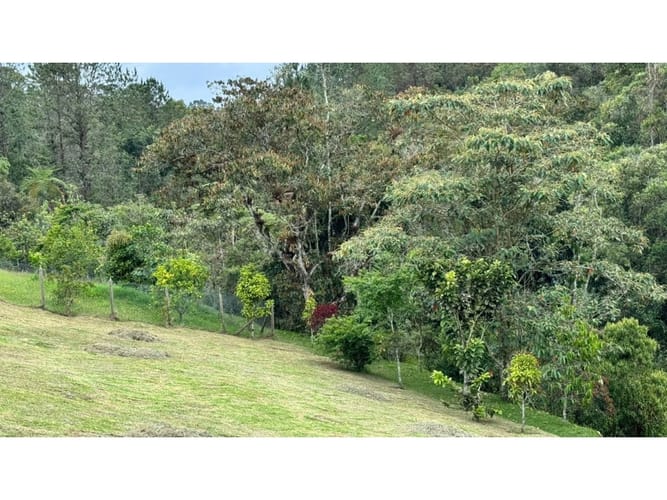 Lote en venta en Pantanillo, El Retiro · foto 4 de 6
