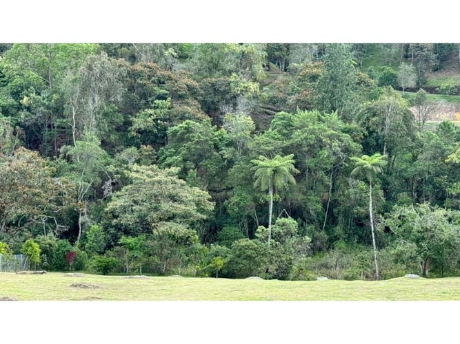Lote en venta en Pantanillo, El Retiro · foto 5 de 6