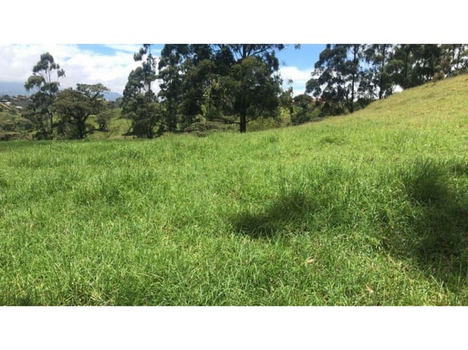 Lote en venta en El Carmen De Viboral, El Carmen de Viboral, 76300 m² · foto 2 de 5