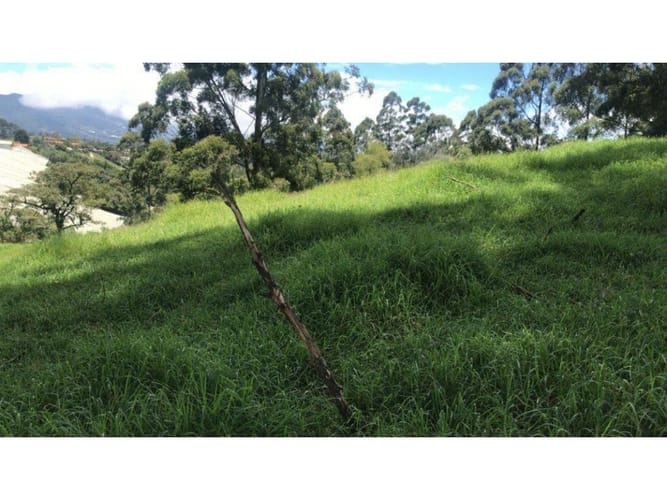 Lote en venta en El Carmen De Viboral, El Carmen de Viboral, 76300 m² · foto 3 de 5