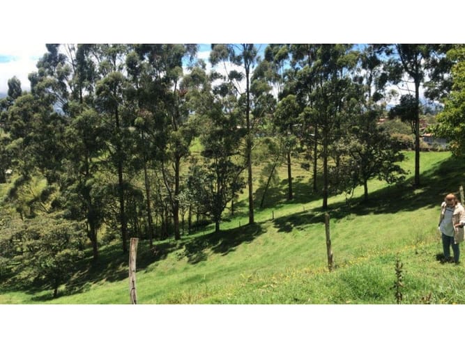 Lote en venta en El Carmen De Viboral, El Carmen de Viboral, 76300 m² · foto 4 de 5
