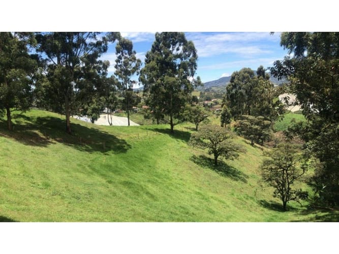 Lote en venta en El Carmen De Viboral, El Carmen de Viboral, 76300 m² · foto 5 de 5
