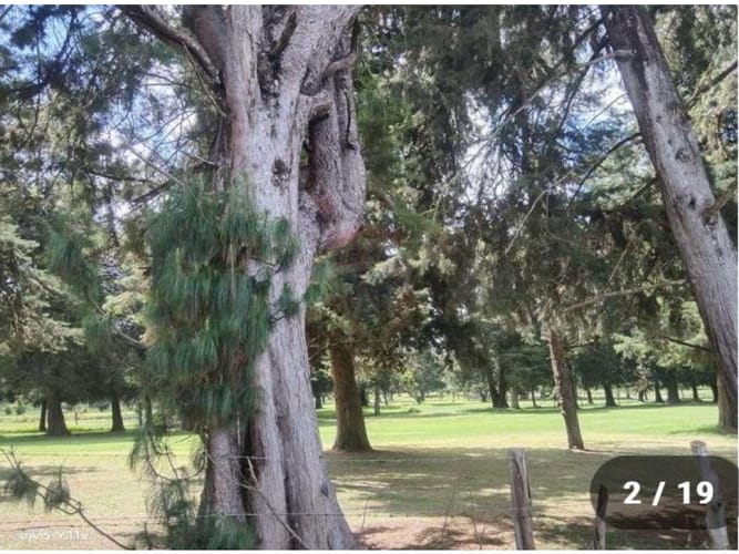 Lote en venta en La Macarena, Rionegro, 876 m² · foto 14 de 14