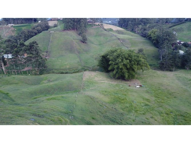 Lote en venta en El Capiro, Rionegro · foto 9 de 9