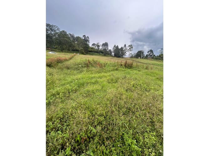 Lote en venta en El Tambo, La Ceja, 1743 m² · foto 3 de 4