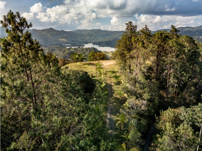 Lote en venta en Santa Elena, El Retiro, 8000 m² · foto 2 de 8
