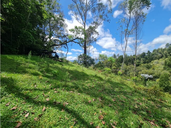 Lote en venta en El Porvenir, Rionegro, 2790 m² · foto 9 de 24