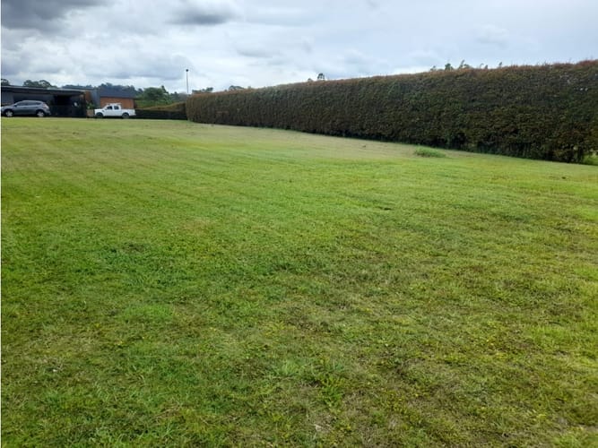 Lote en venta en Llano Grande, Rionegro, 1483 m² · foto 6 de 14