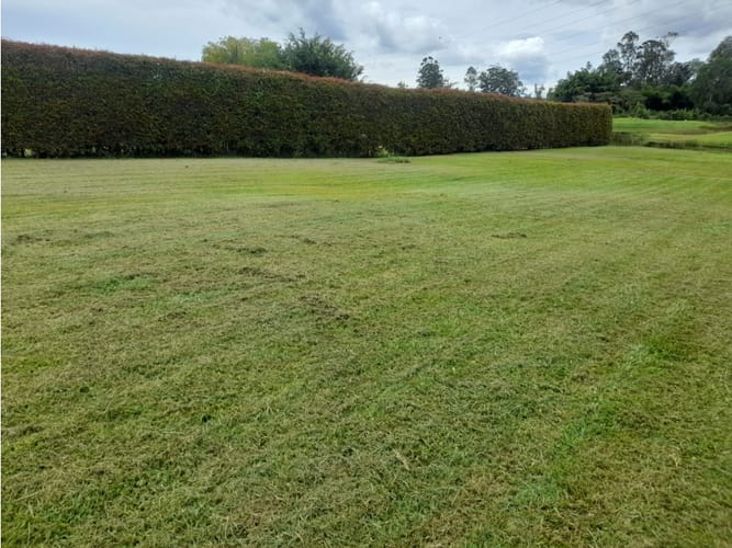 Lote en venta en Llano Grande, Rionegro, 1483 m² · foto 7 de 14