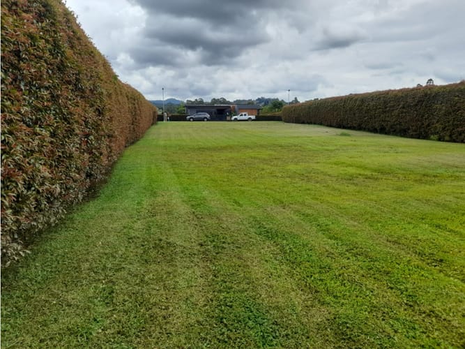 Lote en venta en Llano Grande, Rionegro, 1483 m² · foto 9 de 14