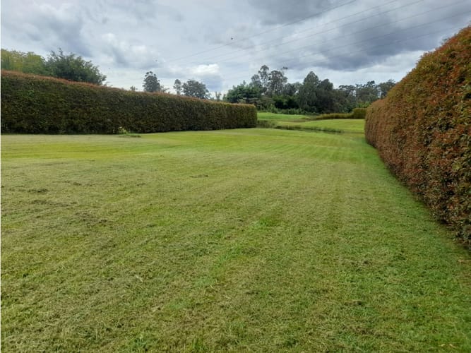 Lote en venta en Llano Grande, Rionegro, 1483 m² · foto 12 de 14