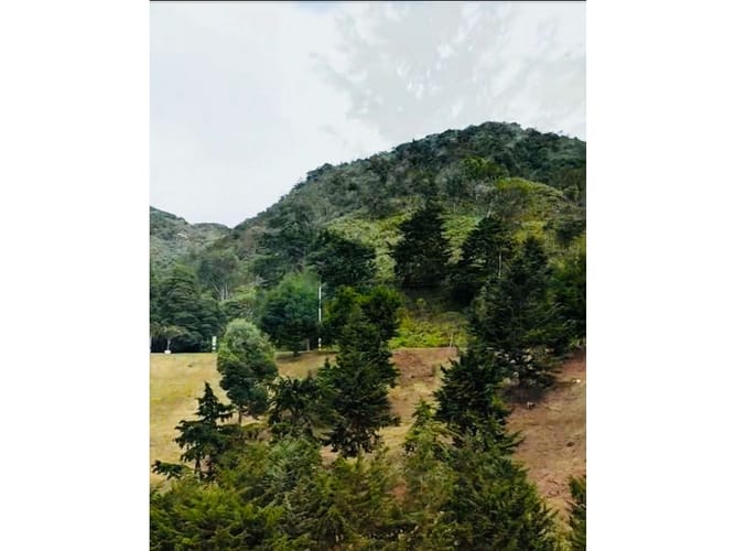 Lote en venta en Las Palmas, Medellín, 11761 m² · foto 3 de 8