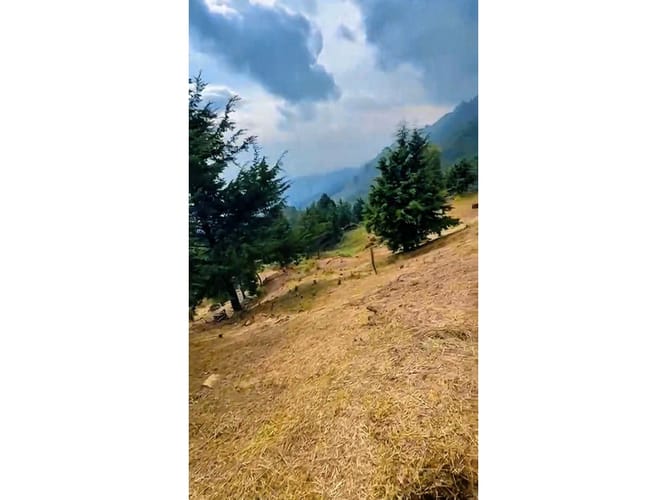 Lote en venta en Las Palmas, Medellín, 11761 m² · foto 5 de 8