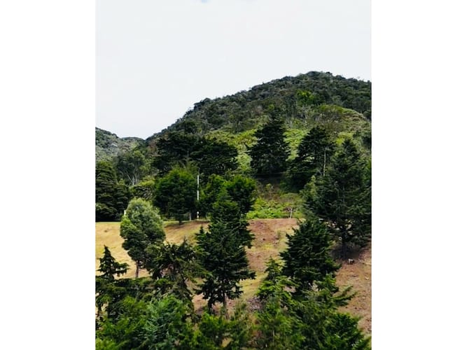 Lote en venta en Las Palmas, Medellín, 11761 m² · foto 6 de 8