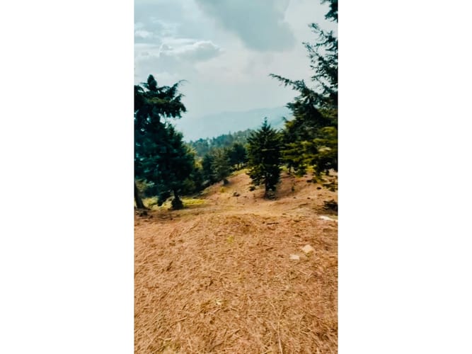 Lote en venta en Las Palmas, Medellín, 11761 m² · foto 7 de 8