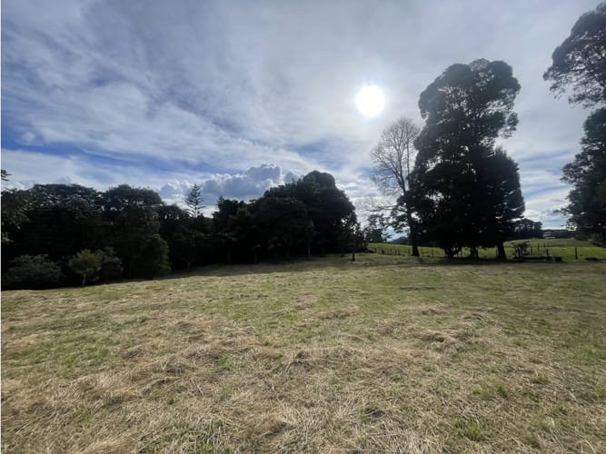 Lote en venta en Las Palmas, Envigado, 4200 m² · foto 5 de 13