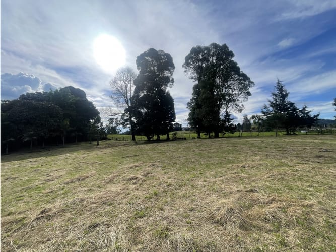 Lote en venta en Las Palmas, Envigado, 4200 m² · foto 9 de 13