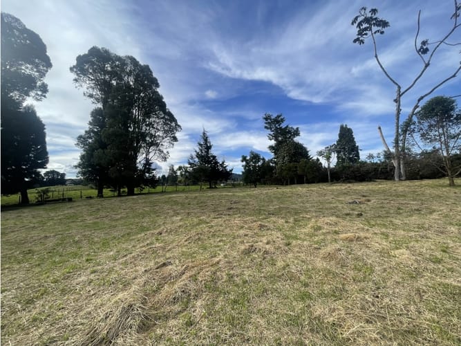 Lote en venta en Las Palmas, Envigado, 4200 m² · foto 11 de 13