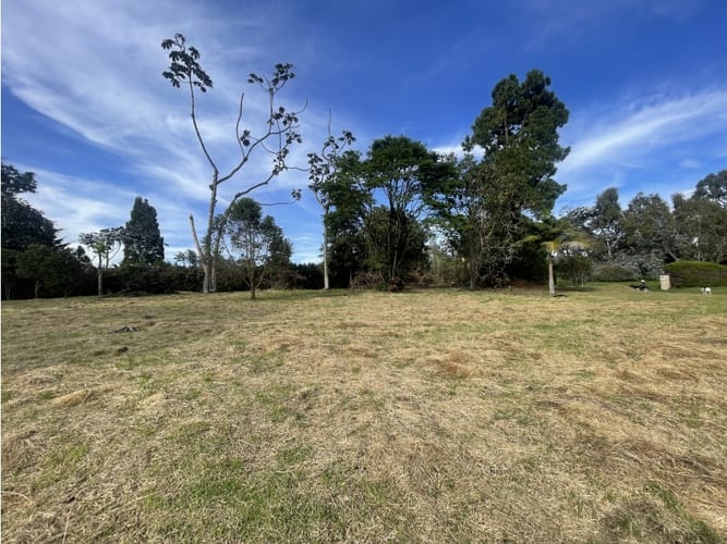 Lote en venta en Las Palmas, Envigado, 4200 m² · foto 12 de 13