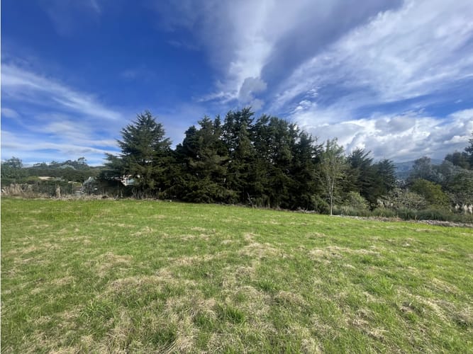 Lote en venta en Las Palmas, Envigado, 4800 m² · foto 9 de 14