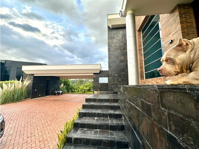 Casa de 4 alcobas en venta en Las Palmas, Medellín, 360 m² · foto 5 de 24