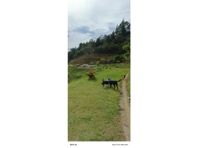 Casa de 4 alcobas en venta en El Salado, Guarne, 290 m² · foto 5 de 23