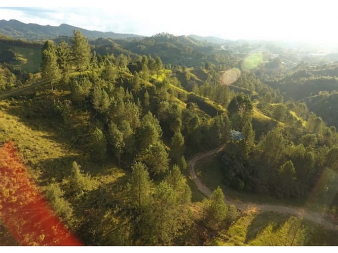Lote en venta en El Chuscal, El Retiro, 3127 m² · foto 6 de 7