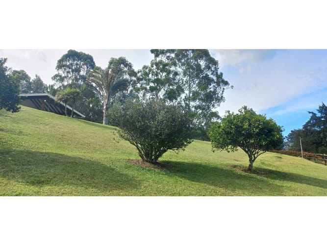 Casa de 5 alcobas en venta en Llano Grande, Rionegro, 350 m² · foto 19 de 24