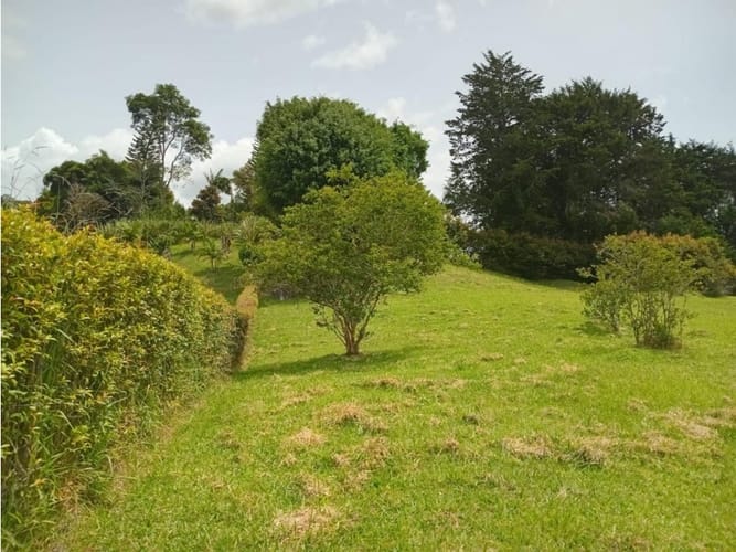 Lote en venta en Sajonia, Rionegro, 3050 m² · foto 4 de 4