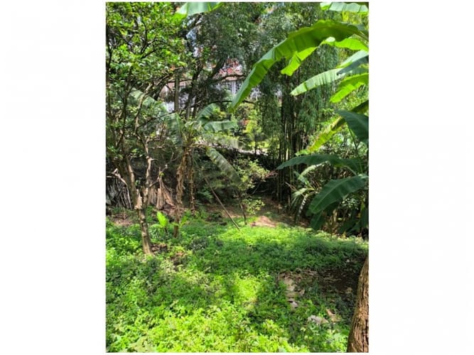 Lote en venta en El Poblado, Medellín, 1184 m² · foto 2 de 4