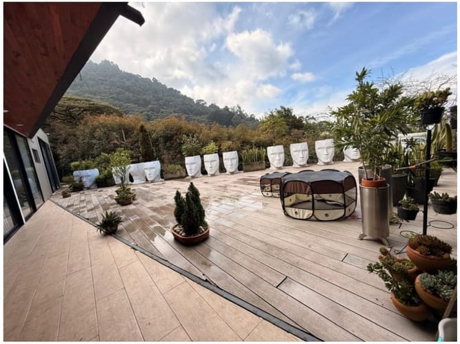 Casa de 8 alcobas en venta en El Poblado, Medellín, 800 m² · foto 16 de 17